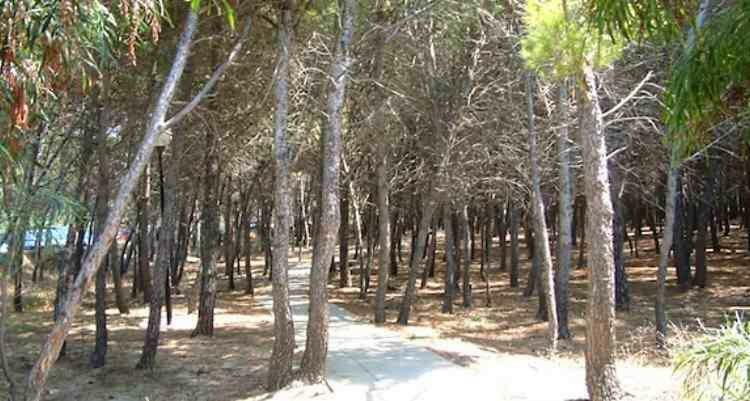 Aurora Villaggio Porto Ada A 2 Passi Dal Mare Holiday home *